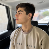 Armin salimian
