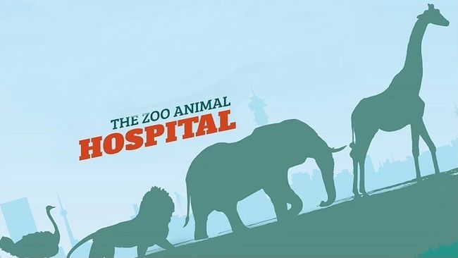 dave's animal hospital