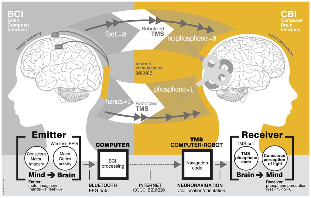 brain control device