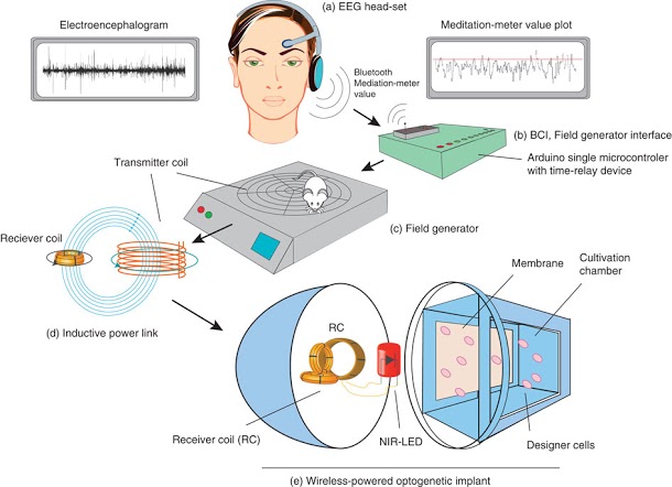 Mind Controller