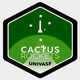 Cactus Rockets Design