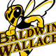 Baldwin Wallace University MECC Team