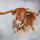 Longhorn Geothermal