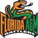 Florida A&M University