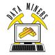 Data Miners
