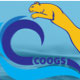 C-COOGS 2026