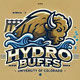 Hydro Buffs 2027