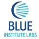 BLUE Institute Labs’s team