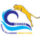 C-COOGS
