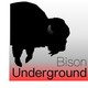 Bison Underground