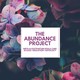 The Abundance Project