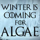 Winter is coming (for algae)!